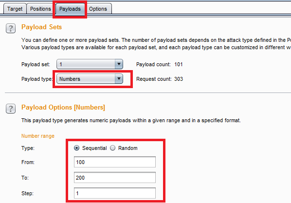 Burp Intruder Payloads