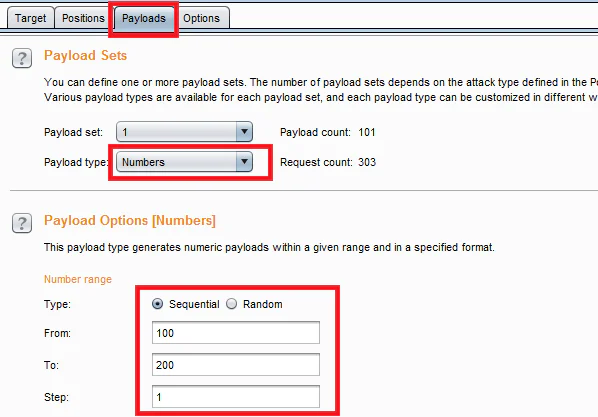 Burp Intruder Payloads