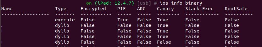 Frida binary info