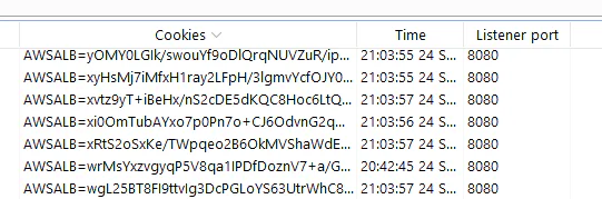 Cookies in Burpsuite